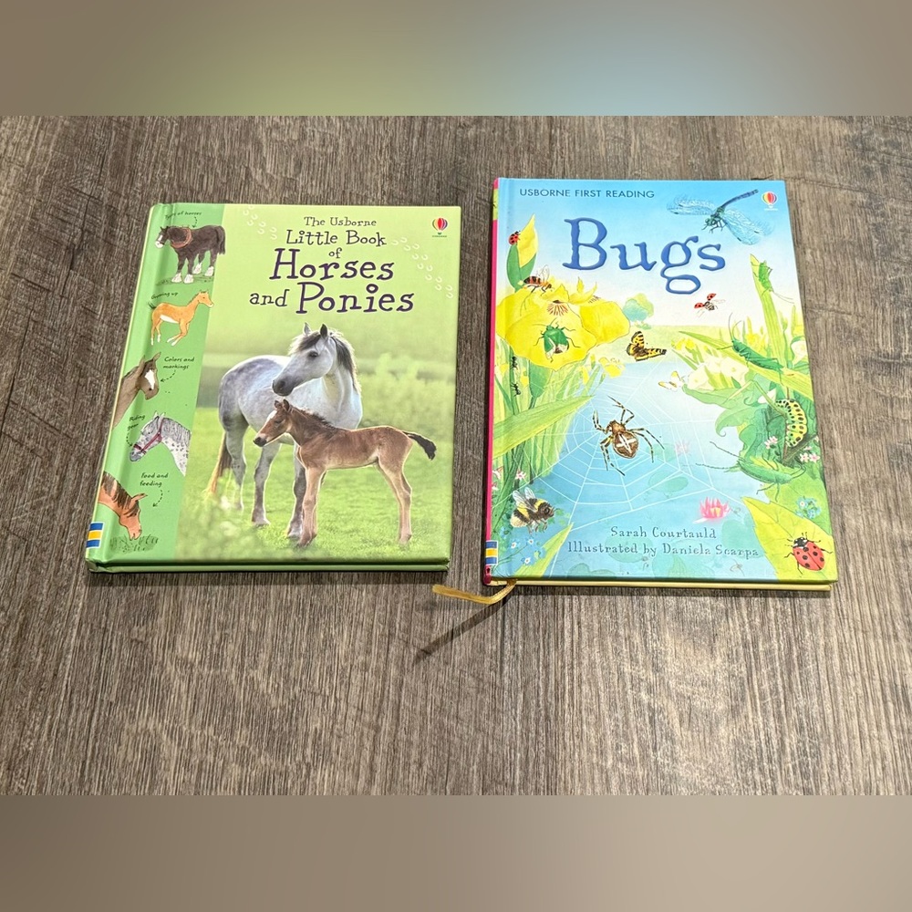 Usborne books the little book of horses and ponies and Bugs